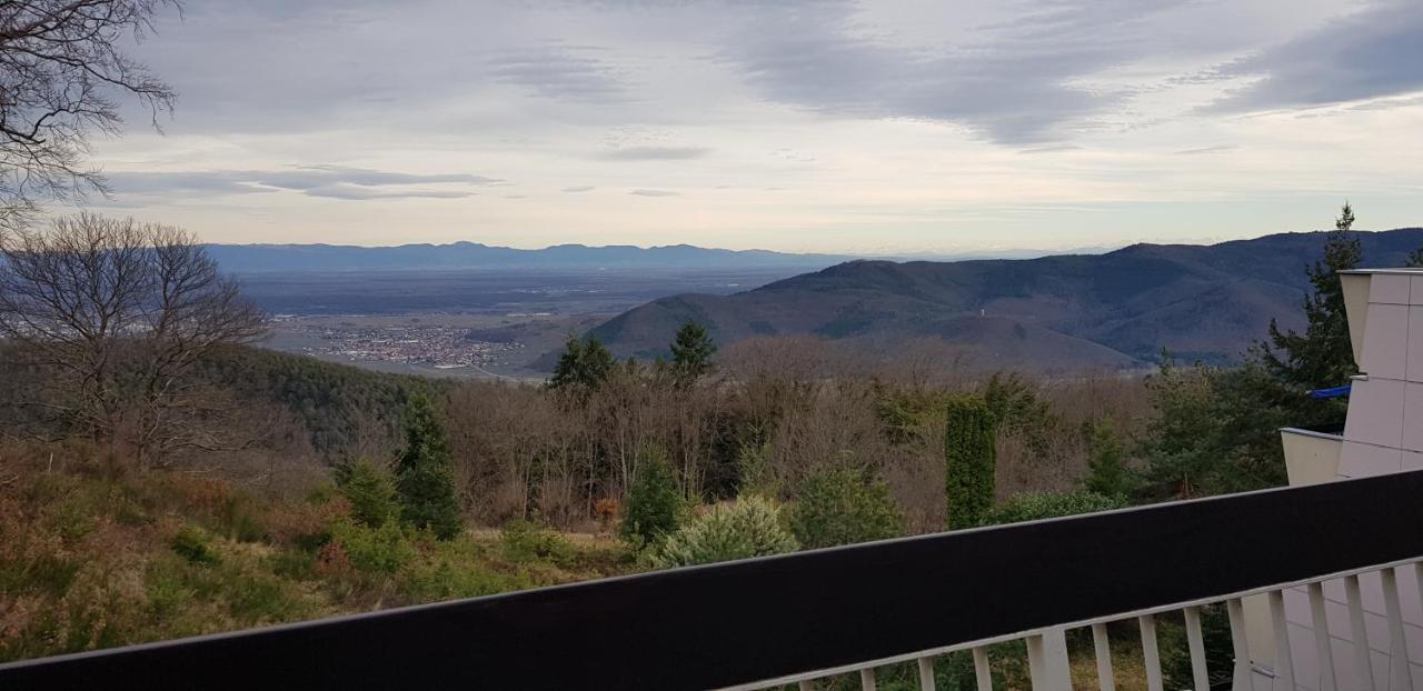 Studio avec sauna au calme à 15 min de Colmar Trois-Épis Extérieur photo